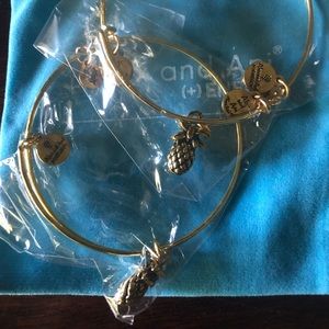 Alex and Ani Pineapple bracelet bundle